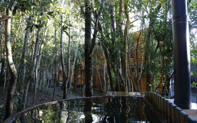 Cabañas Ensenada Bosque Nativo