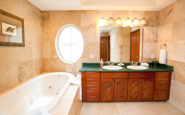 Lawson Rock Seahorse 104