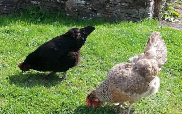 Dalpatrick Farmhouse