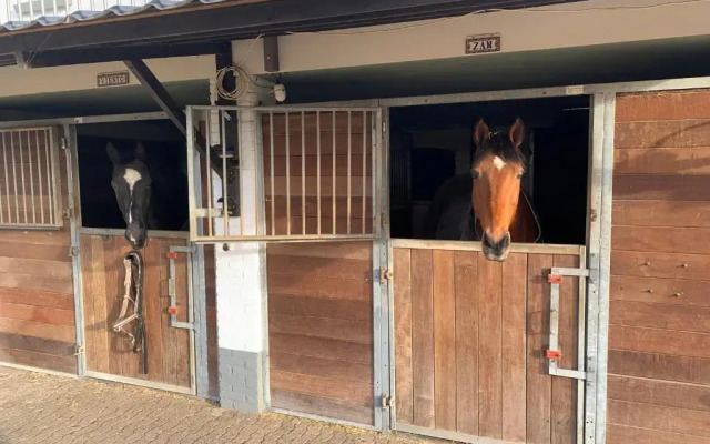 Luxury Guest House - Eik aan de dijk