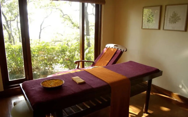 Ananda In The Himalayas