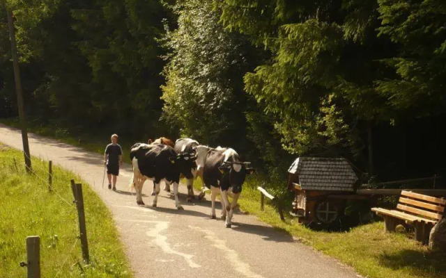 Familienferienhof Berger