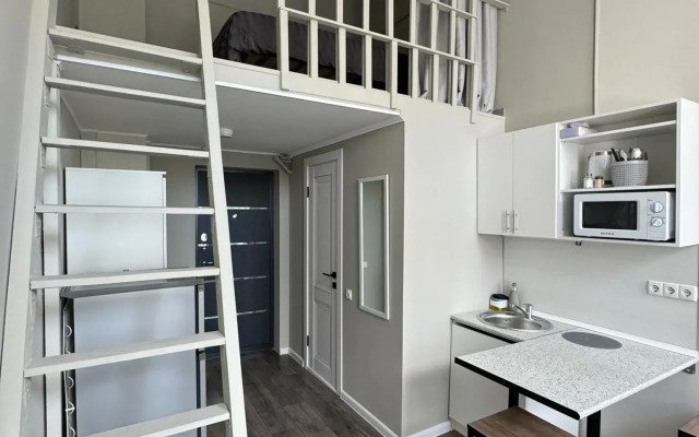 Апартаменты на улице Пушкинская 98