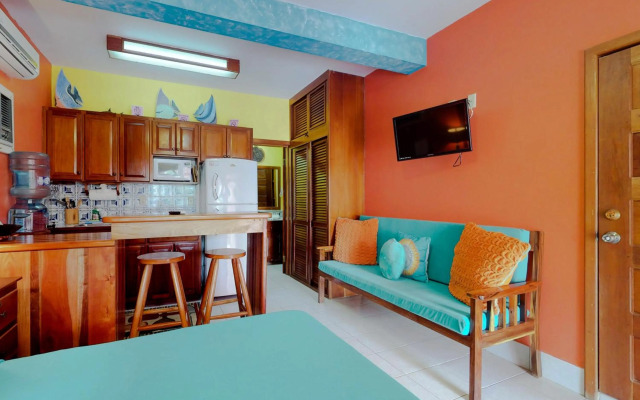 Saponaria 21-22 at Caribe Island Gold Standard Certified