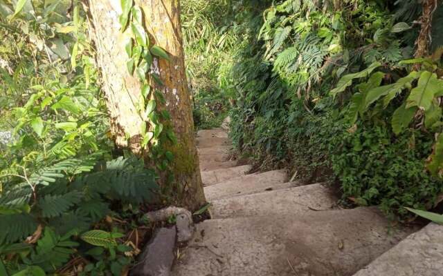 ECOcamp Bedugul