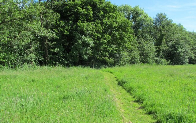 Suffolk Glamping