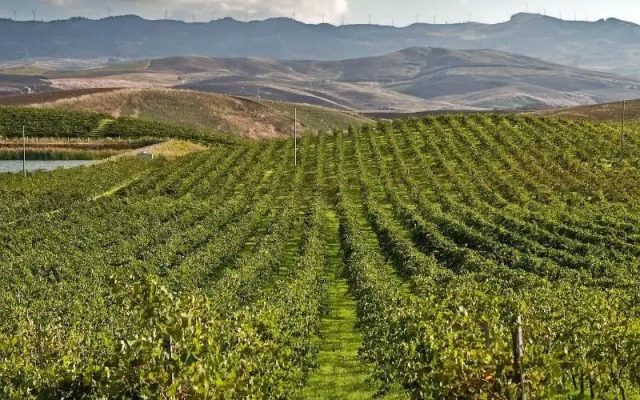 Agriturismo Sirignano Wine Resort