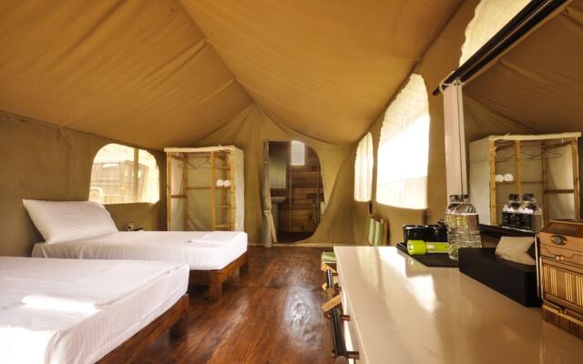 Wild Glamping