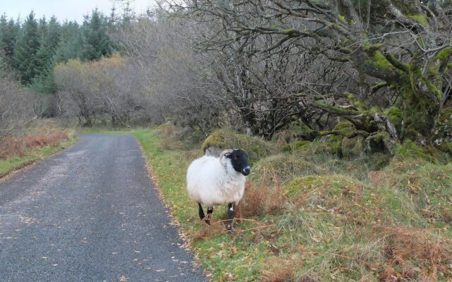 Willow Cottage Donegal B&B