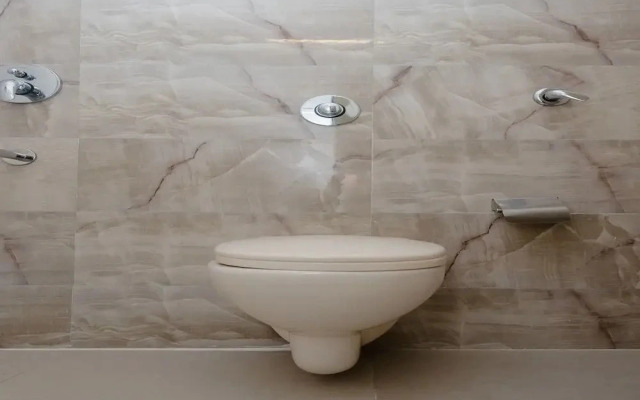 Everest Inn by OYO Rooms