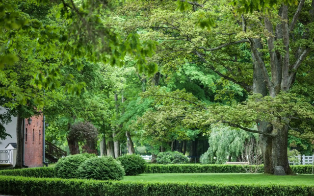 Pałac Ciekocinko Hotel Resort & Wellness