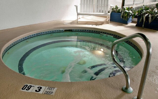 Indigo Buffalo - Amherst