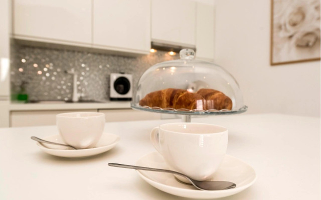 Urban Luxury Apartment