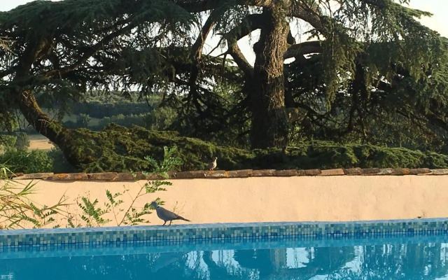 Château de Villeneuve