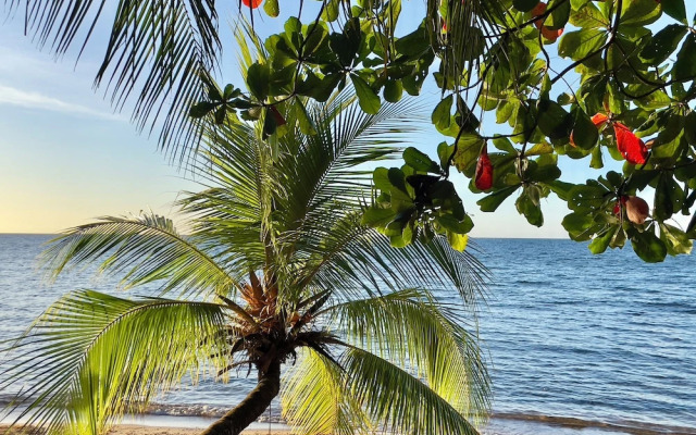 Roatan Infinity Pool & Ocean View