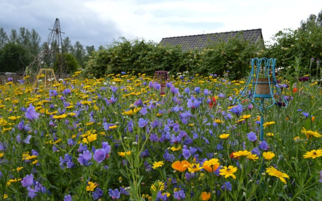 Vakantiewoning De Pluktuin