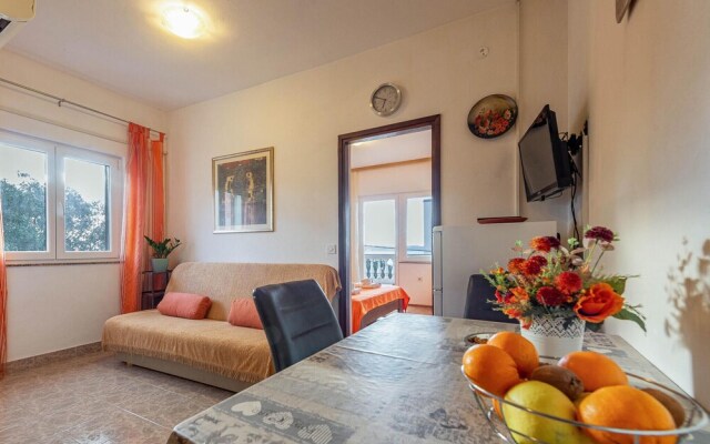 Beautiful Apartment in Kozino With 1 Bedrooms and Wifi