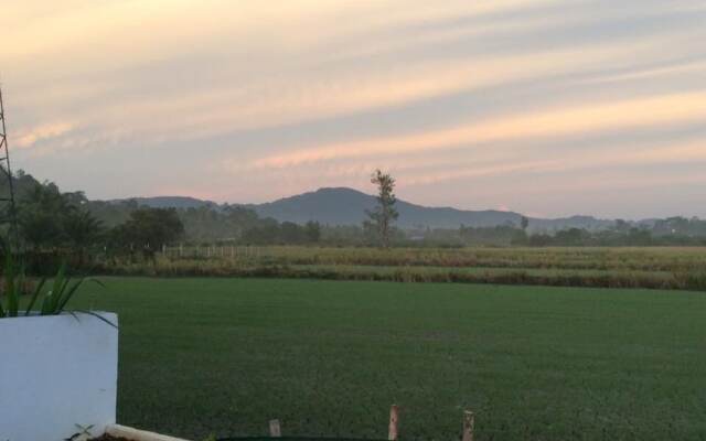 Wichuda Fishing Park & Homestay