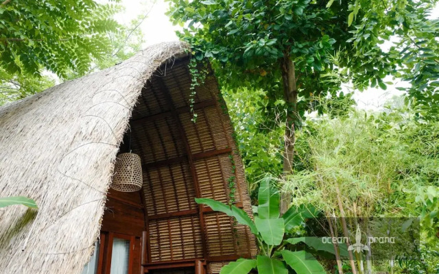 Ocean Prana - Hostel