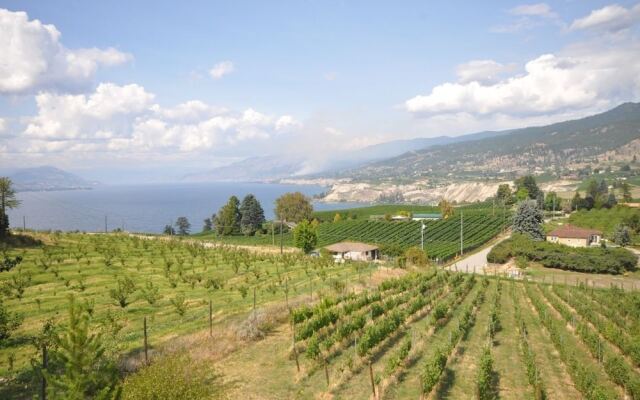 E'Laysa Guesthouse and Vineyard Retreat