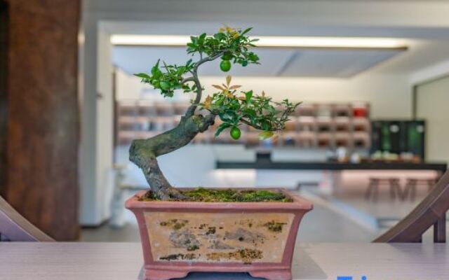 Xianju Yishe Encounter B&B