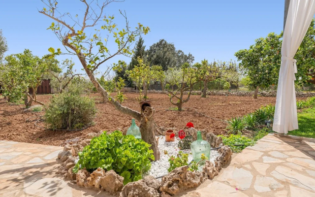 Sa Caseta B ger in Buger