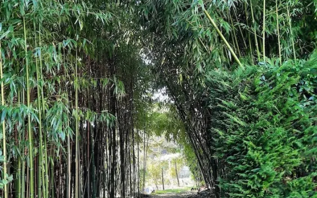 Puravida Annexe