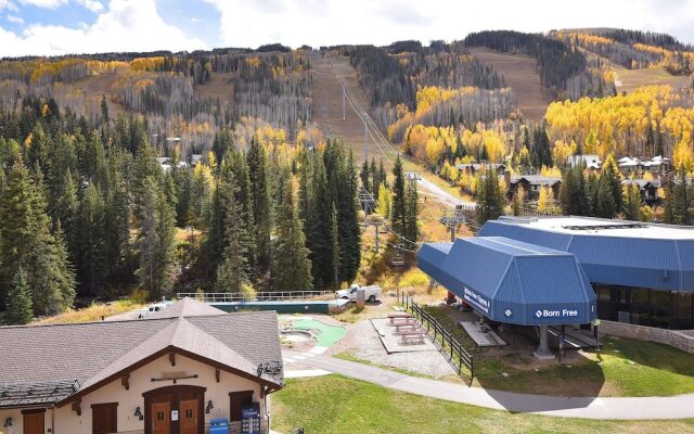 Lionshead Center #101 2 Bedroom Condo by RedAwning