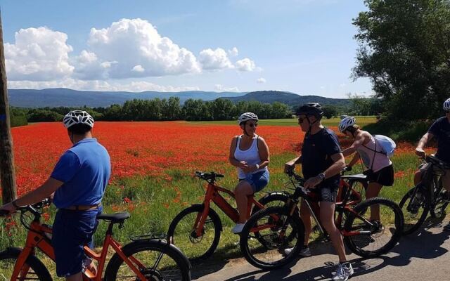 Le Mas De Roussillon