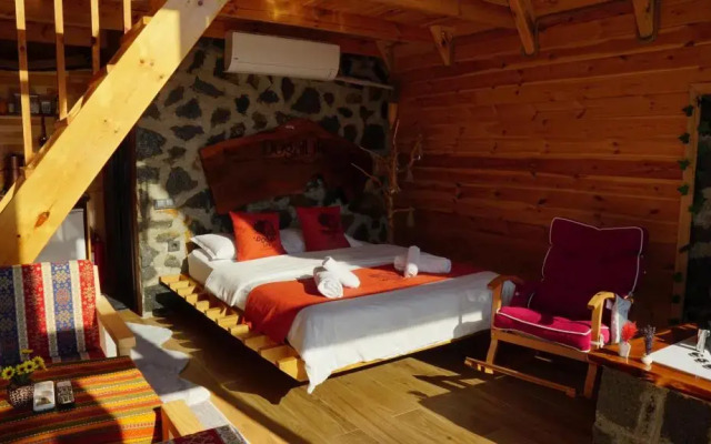 Dogallife Suit Bungalov