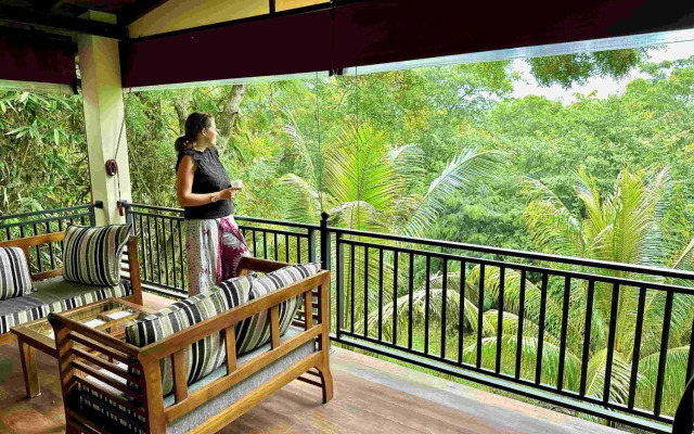 Jungle Paradise