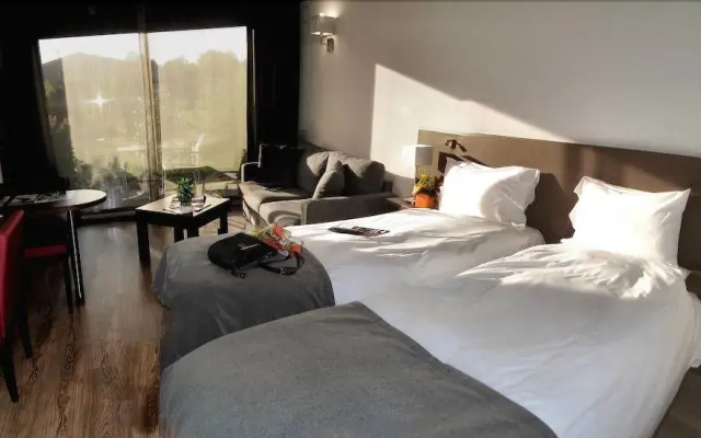 Hotel Eden Park