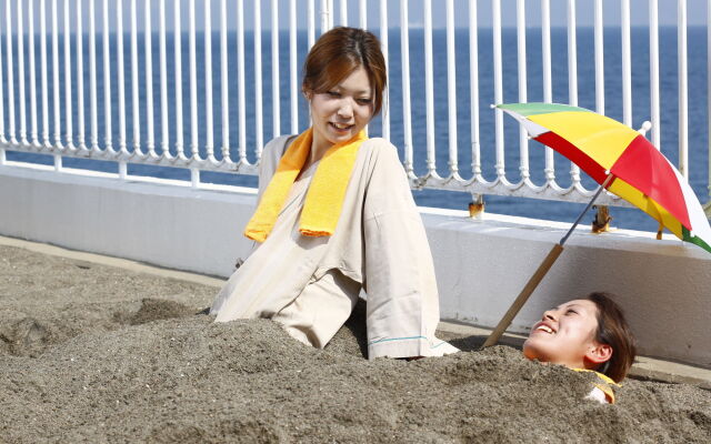 Ibusuki Seaside Hotel