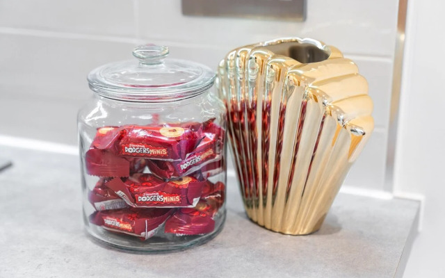 Deluxe 1 Bedroom Stylish Apartment - City Centre