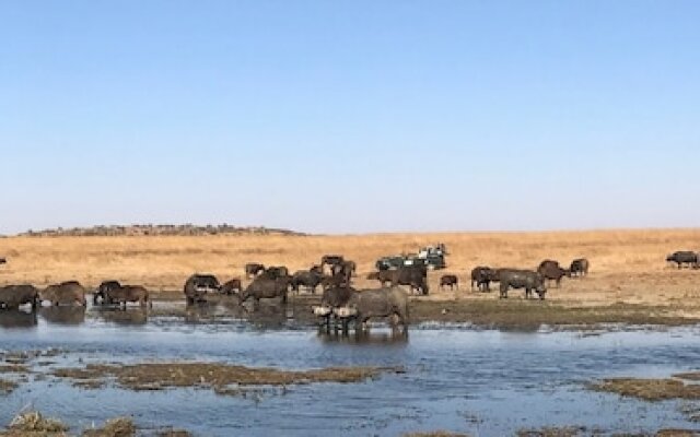 Nambiti Plains Private Game Lodge