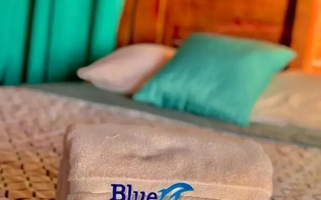 Blue Dolphin