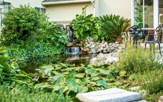 Comfort Inn Modesto