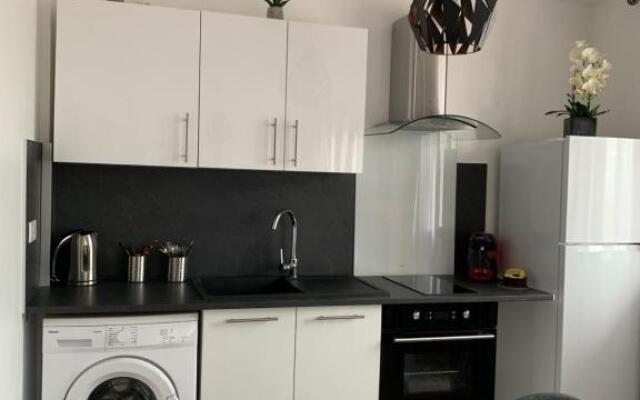 APPARTEMENT COEUR de ROANNE