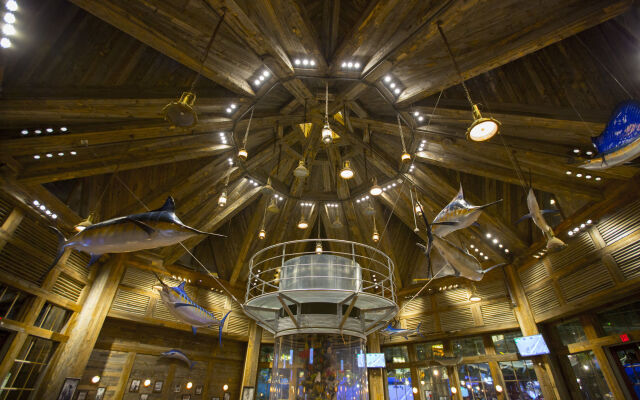 Big Cypress Lodge