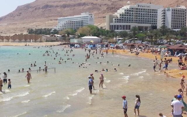 Rose Dead Sea Neve Zohar