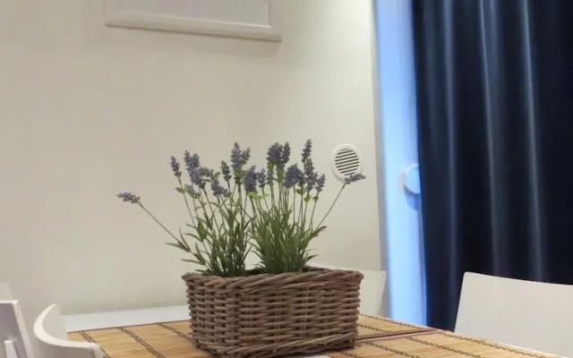 Apartament Senatorska