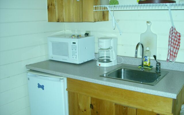 Cranmore Mountain Lodge Bed & Breakfast