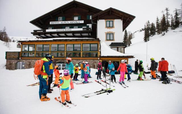 Alpen Aurora
