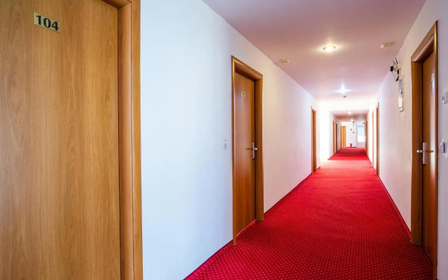 Hotel Dana