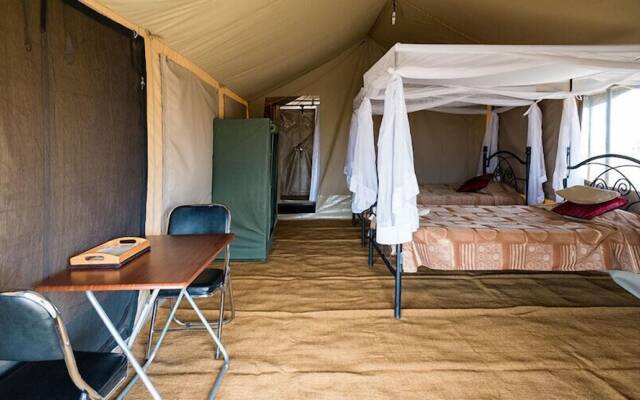 Serengeti Wild Camp