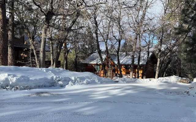 A Woodsy Mountain Retreat