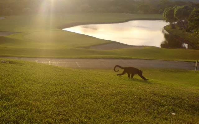 Ocean View Luxury Condo at Reserva Conchal A2