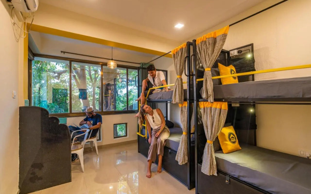 Marine Garden Studios