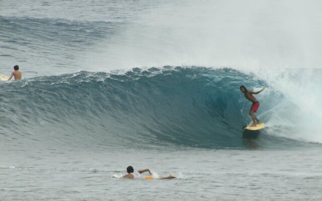 Pesangan Surfcamp Hotel