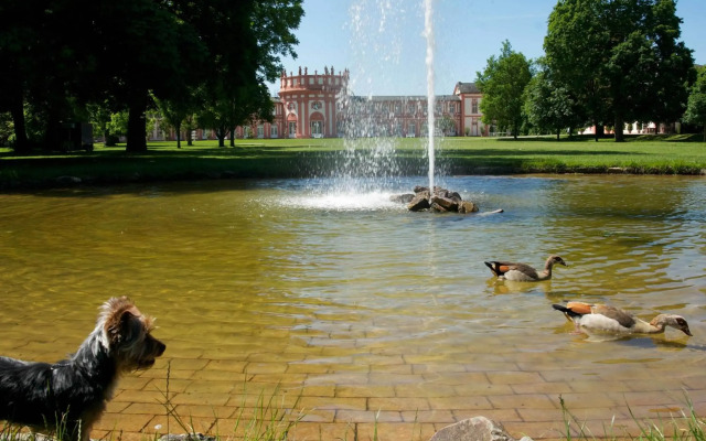 Hotel am Schlosspark